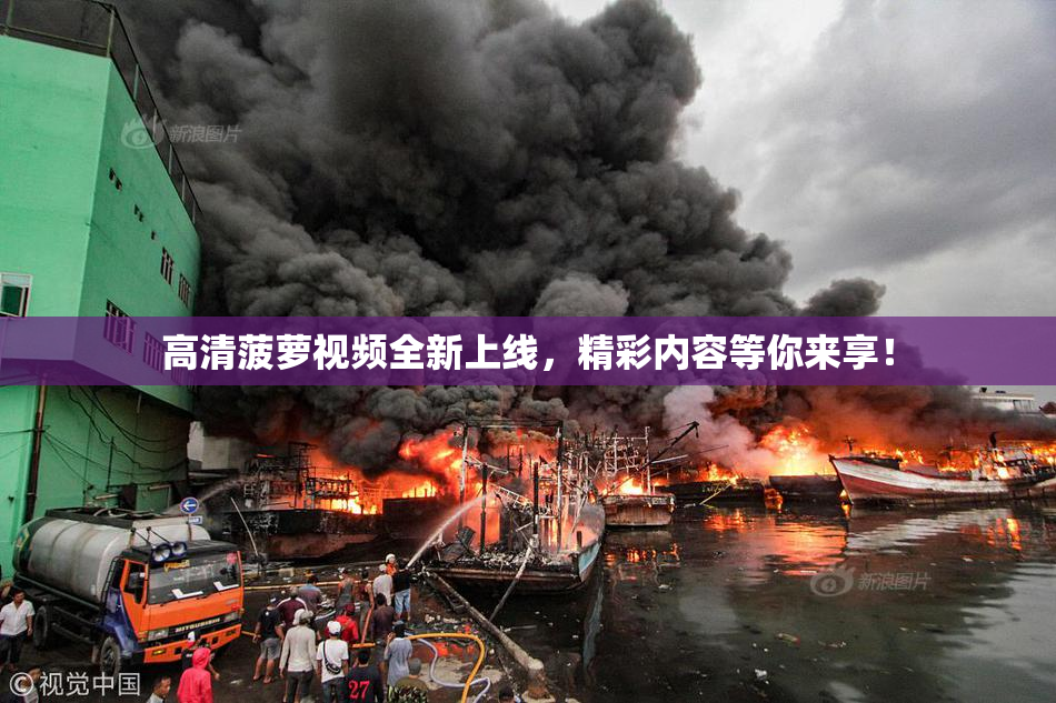 高清菠萝视频全新上线，精彩内容等你来享！