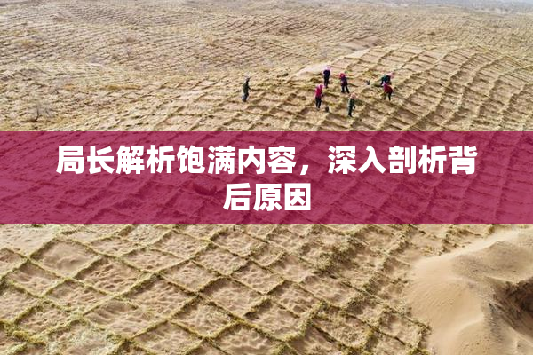 局长解析饱满内容，深入剖析背后原因
