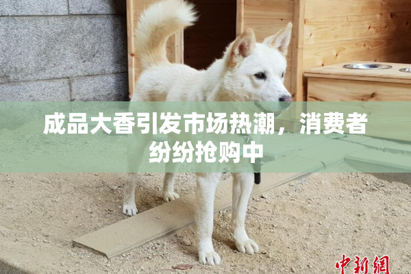 成品大香引发市场热潮，消费者纷纷抢购中