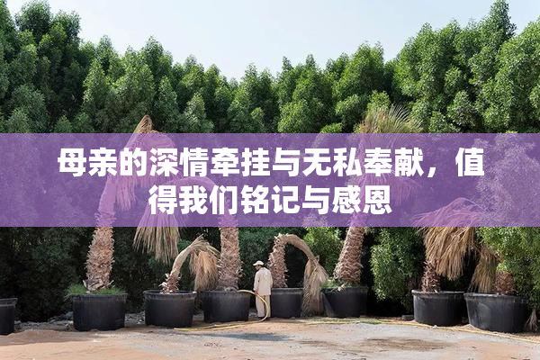 母亲的深情牵挂与无私奉献，值得我们铭记与感恩