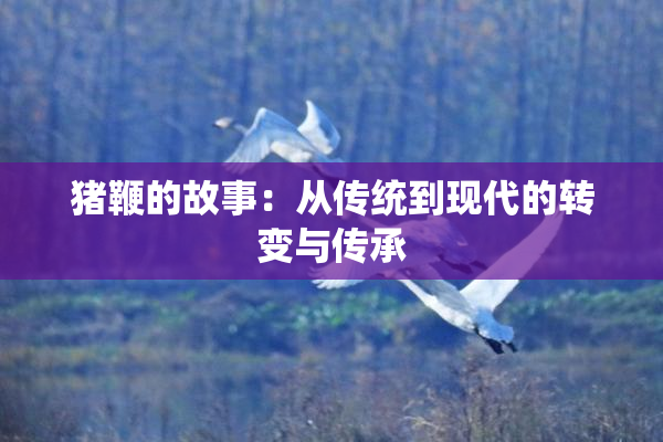 猪鞭的故事：从传统到现代的转变与传承