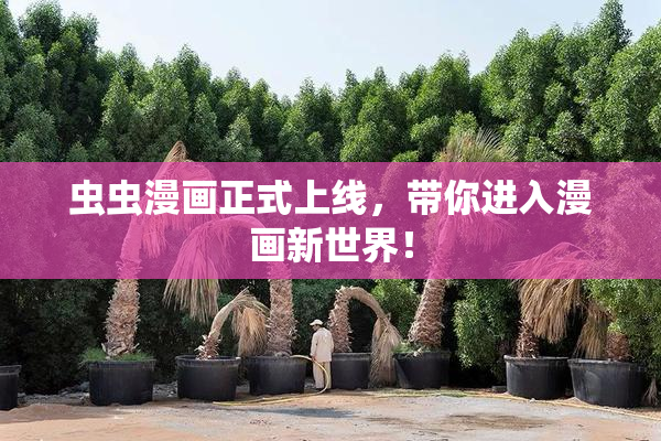虫虫漫画正式上线，带你进入漫画新世界！