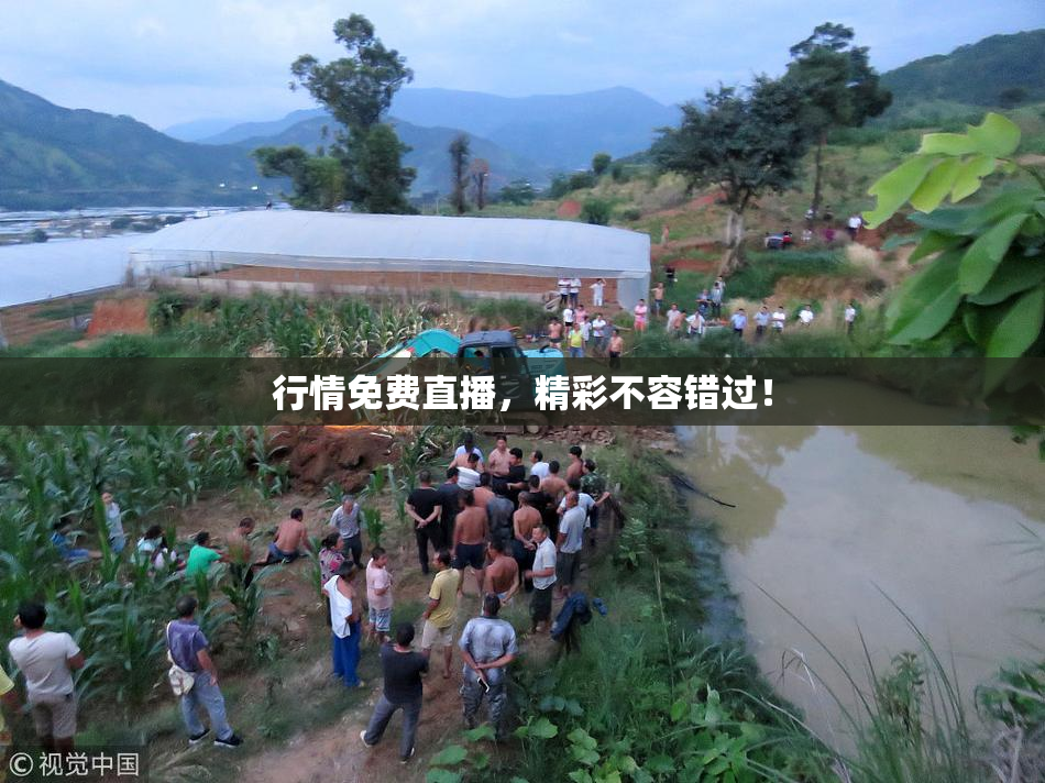 行情免费直播，精彩不容错过！