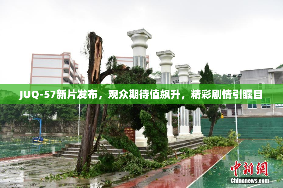 JUQ-57新片发布，观众期待值飙升，精彩剧情引瞩目