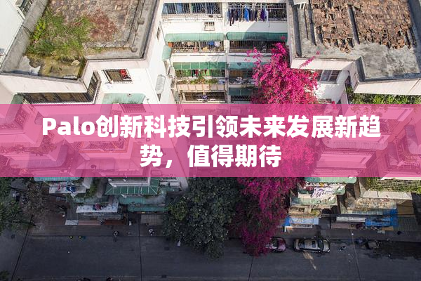 Palo创新科技引领未来发展新趋势，值得期待