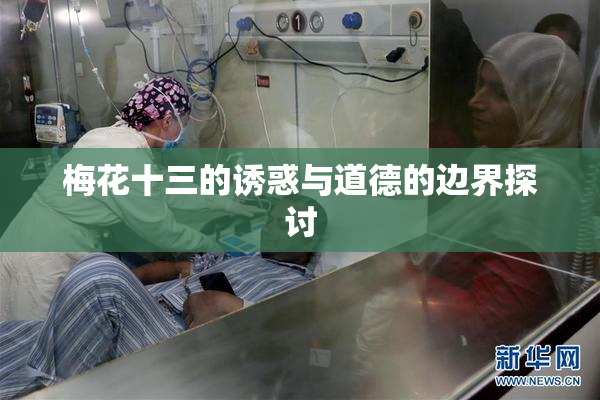 梅花十三的诱惑与道德的边界探讨
