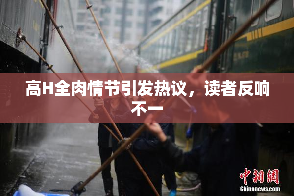 高H全肉情节引发热议，读者反响不一
