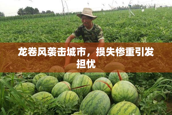 龙卷风袭击城市，损失惨重引发担忧