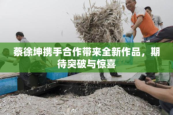 蔡徐坤携手合作带来全新作品，期待突破与惊喜