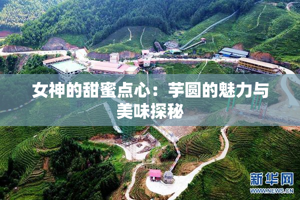 女神的甜蜜点心：芋圆的魅力与美味探秘