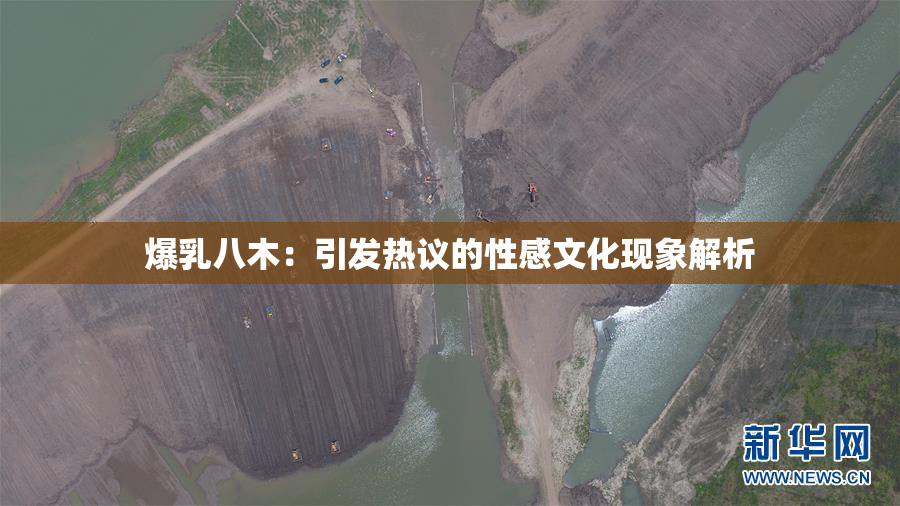 爆乳八木：引发热议的性感文化现象解析