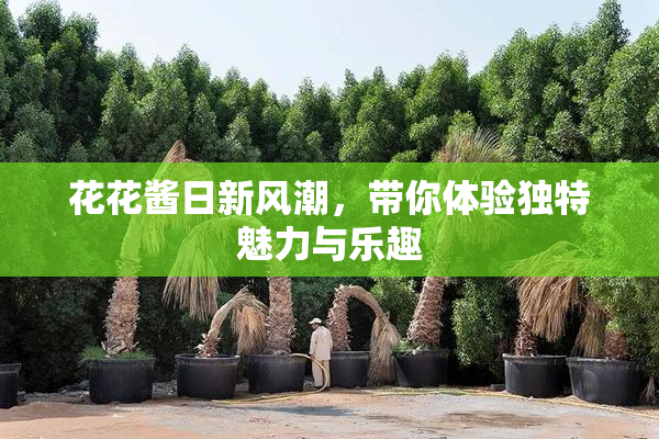 花花酱日新风潮，带你体验独特魅力与乐趣