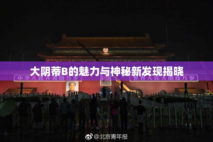 大阴蒂B的魅力与神秘新发现揭晓
