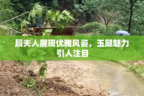 殷夫人展现优雅风姿，玉腿魅力引人注目