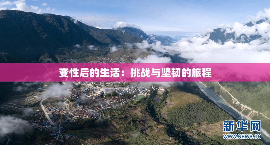 变性后的生活：挑战与坚韧的旅程