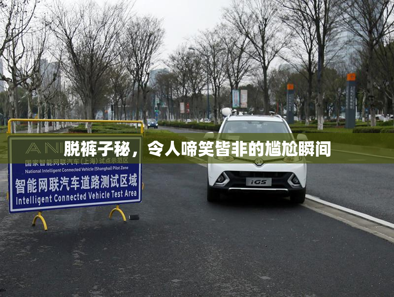 脱裤子秘，令人啼笑皆非的尴尬瞬间