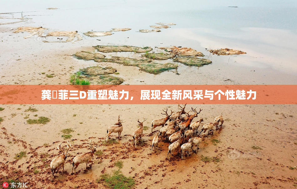 龚玥菲三D重塑魅力，展现全新风采与个性魅力