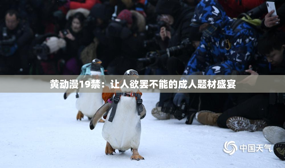 黄动漫19禁：让人欲罢不能的成人题材盛宴