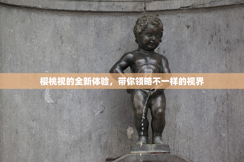 樱桃视的全新体验，带你领略不一样的视界