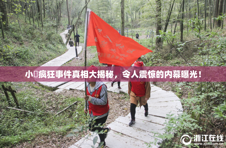 小泬疯狂事件真相大揭秘，令人震惊的内幕曝光！