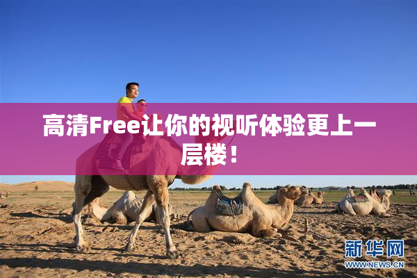 高清Free让你的视听体验更上一层楼！
