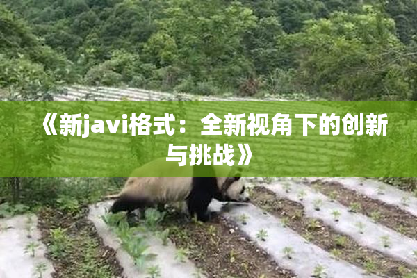 《新javi格式：全新视角下的创新与挑战》