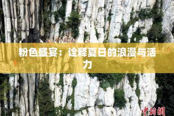 粉色盛宴：诠释夏日的浪漫与活力