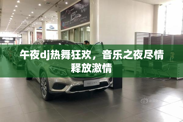 午夜dj热舞狂欢，音乐之夜尽情释放激情