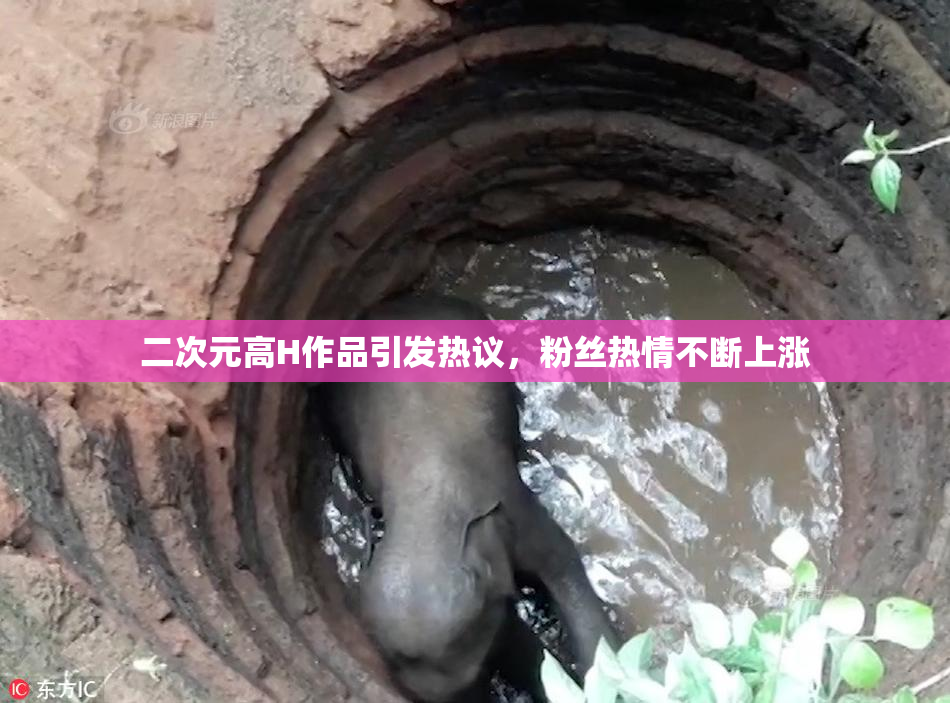 二次元高H作品引发热议，粉丝热情不断上涨