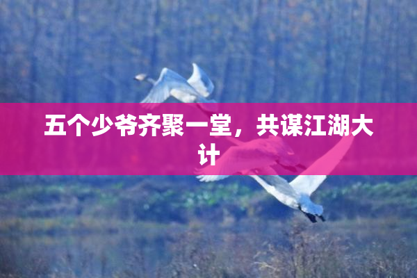 五个少爷齐聚一堂，共谋江湖大计