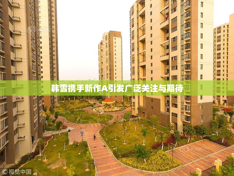 韩雪携手新作A引发广泛关注与期待