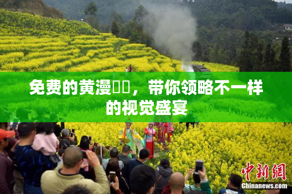 免费的黄漫❌‌，带你领略不一样的视觉盛宴