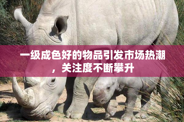 一级成色好的物品引发市场热潮，关注度不断攀升