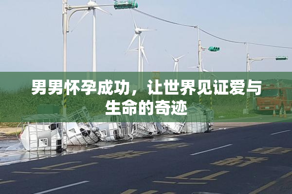 男男怀孕成功，让世界见证爱与生命的奇迹