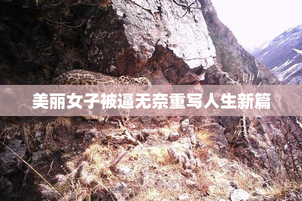 美丽女子被逼无奈重写人生新篇