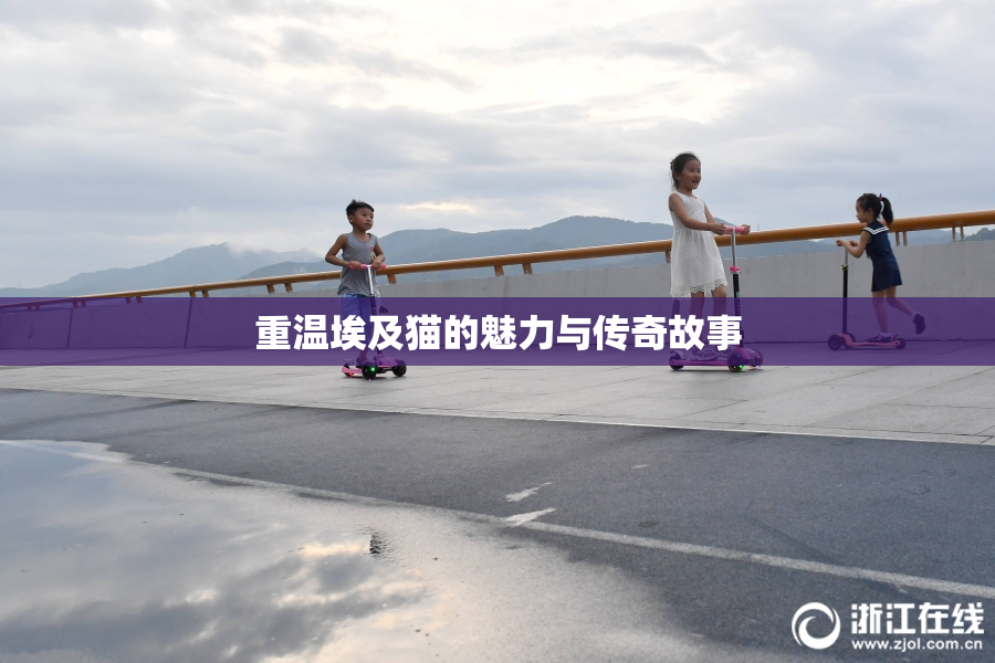 重温埃及猫的魅力与传奇故事