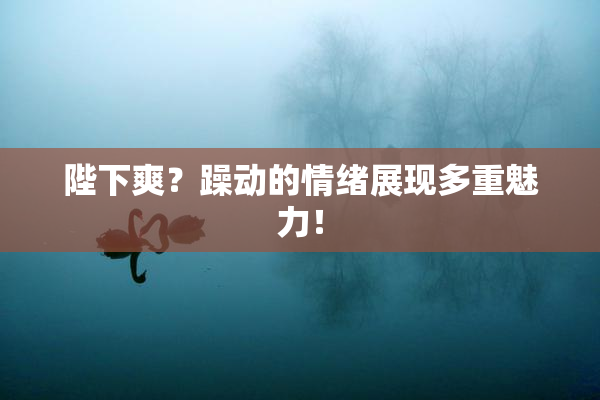 陛下爽？躁动的情绪展现多重魅力！