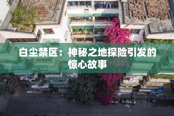 白尘禁区：神秘之地探险引发的惊心故事