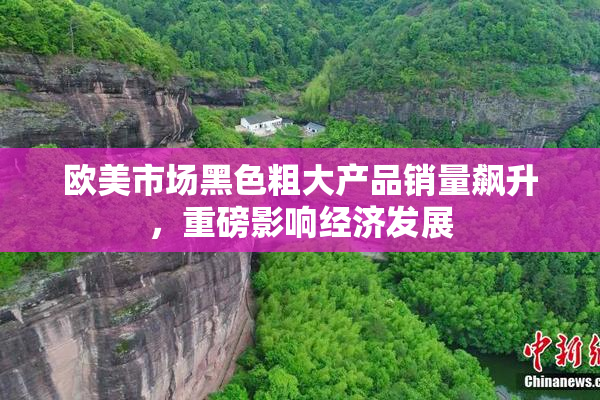 欧美市场黑色粗大产品销量飙升，重磅影响经济发展