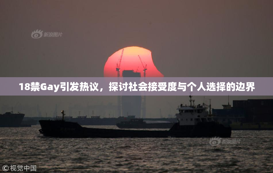 18禁Gay引发热议，探讨社会接受度与个人选择的边界