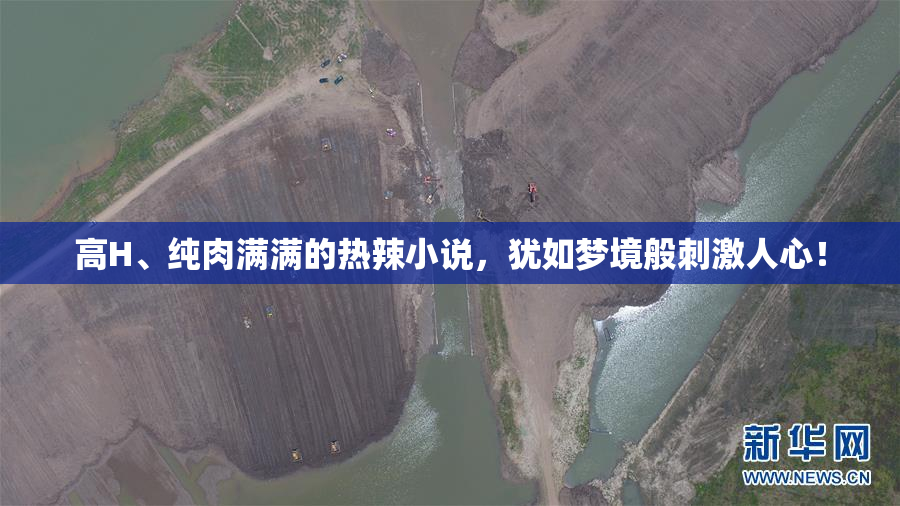 高H、纯肉满满的热辣小说，犹如梦境般刺激人心！