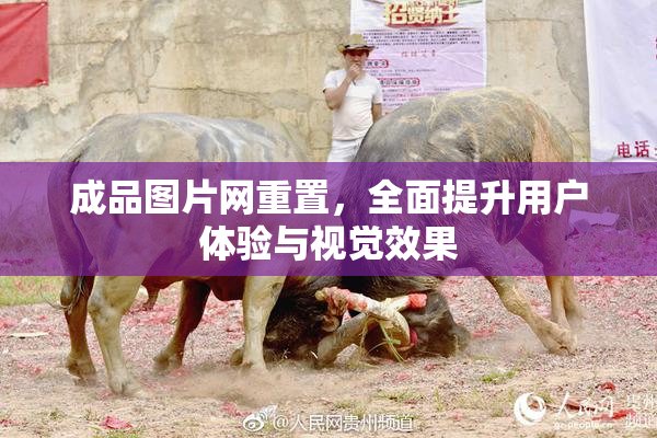 成品图片网重置，全面提升用户体验与视觉效果