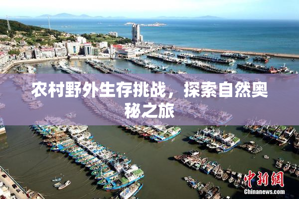 农村野外生存挑战，探索自然奥秘之旅
