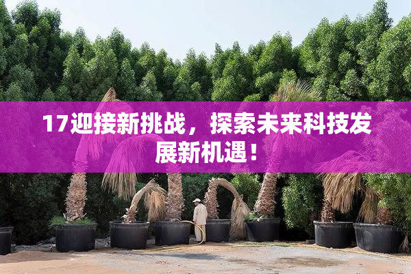 17迎接新挑战，探索未来科技发展新机遇！
