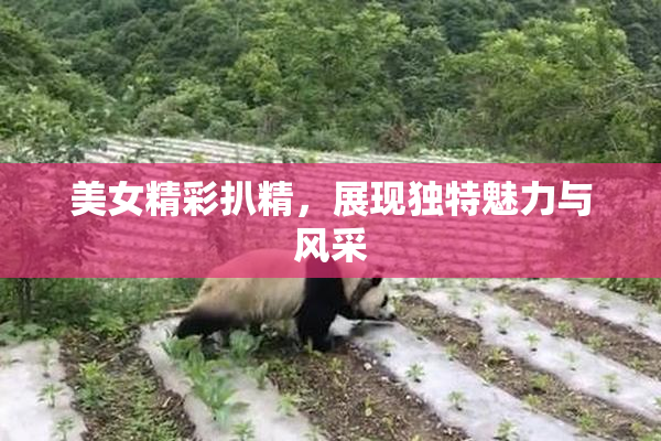 美女精彩扒精，展现独特魅力与风采