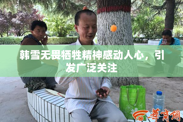 韩雪无畏牺牲精神感动人心，引发广泛关注