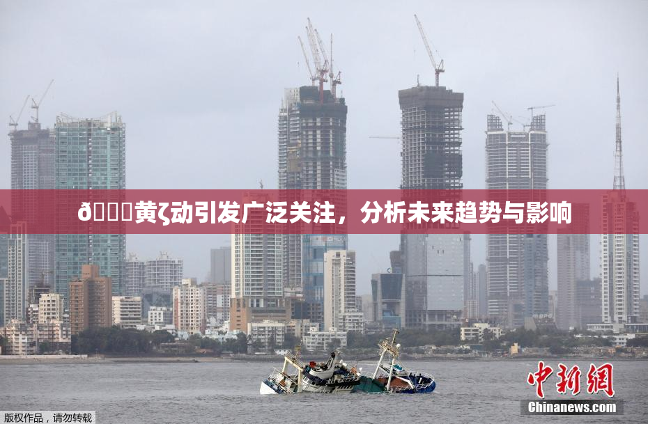 🔞黄ζ动引发广泛关注，分析未来趋势与影响