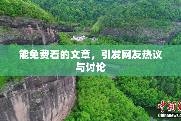 能免费看的文章，引发网友热议与讨论