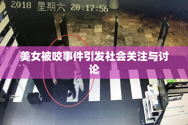 美女被咬事件引发社会关注与讨论