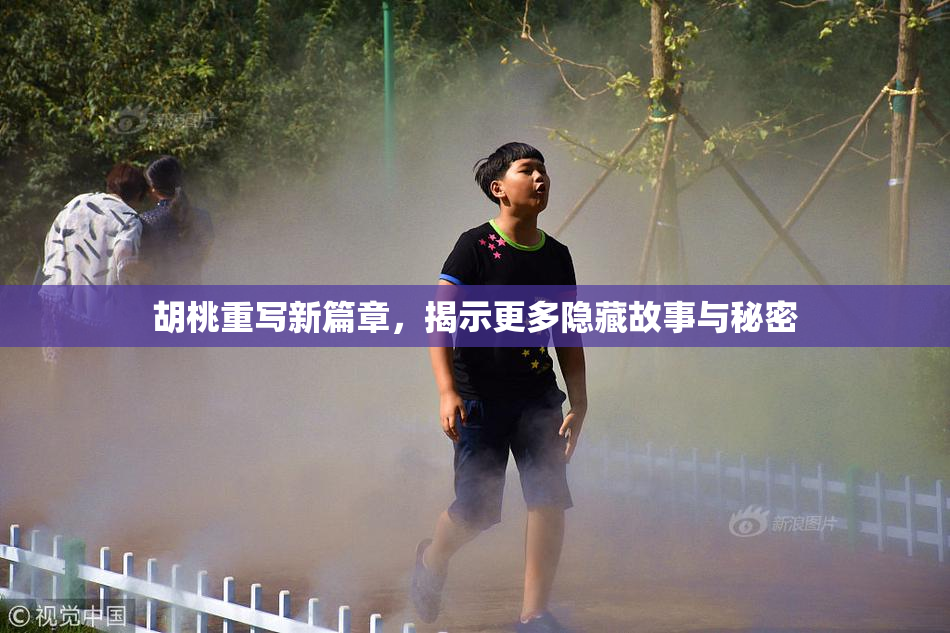 胡桃重写新篇章，揭示更多隐藏故事与秘密